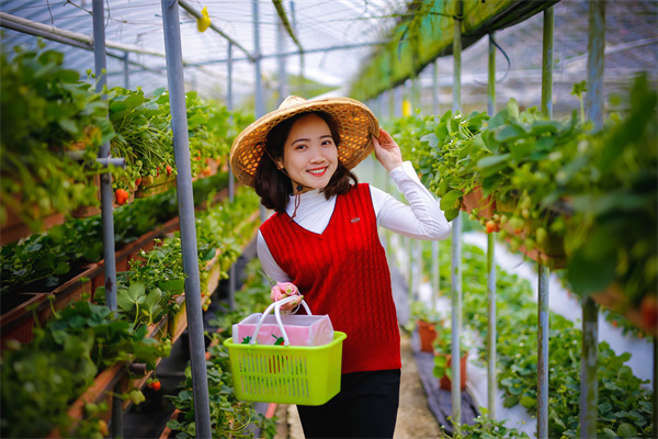 中国银行：金市观察2025年7月16日