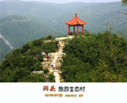 洞头明天天气